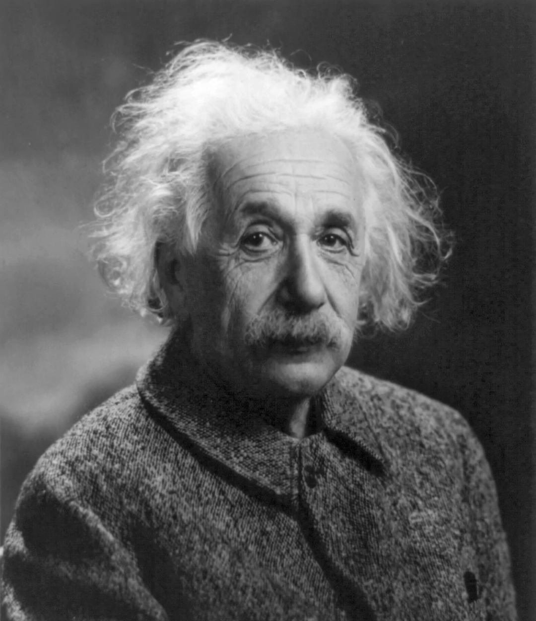 pexels-andrzej-gdula-11741353.jpg 圖片